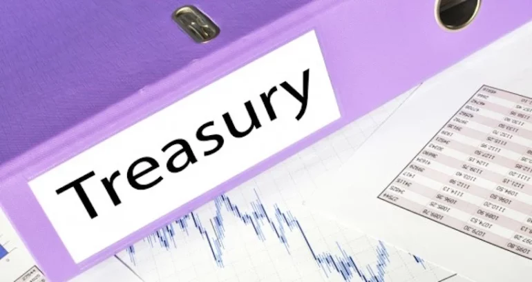What is Treasury Management in Banking